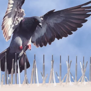 pigeon-spikes-01
