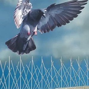 pigeon-spikes-03