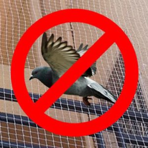 pigeon-netting-04