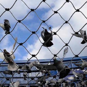 pigeon-netting-01