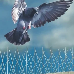 pigeon-spikes-03